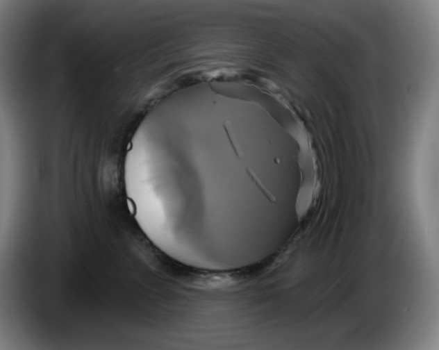 X0000086220715200704191738