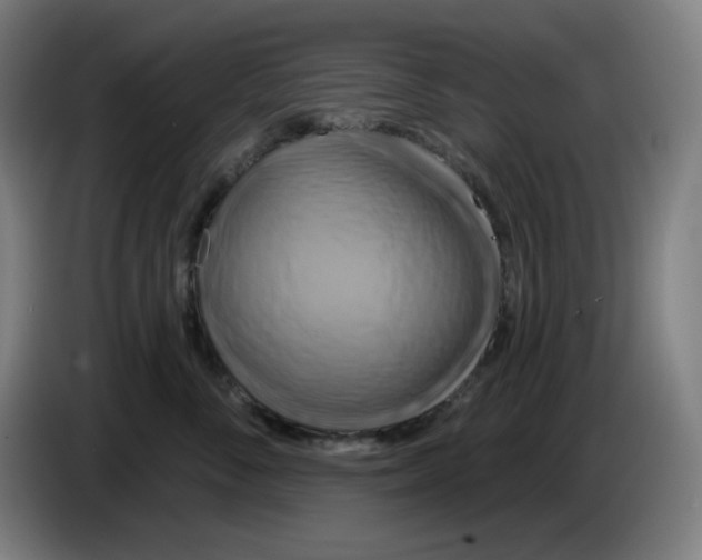 X0000086220716200704191738