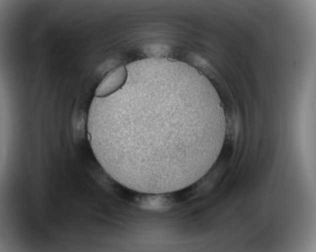 X0000086220717200704191738