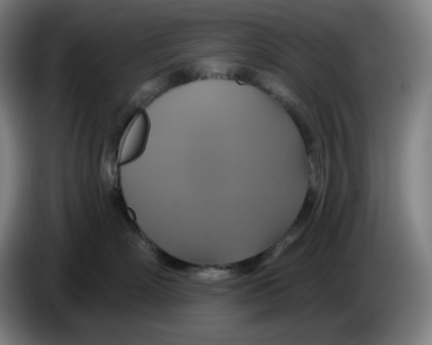 X0000086220718200704191738