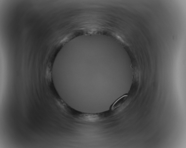 X0000086220719200704191738