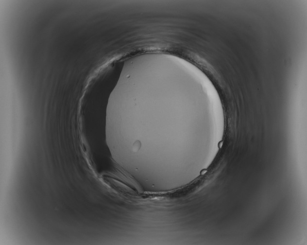 X0000086220721200704191738