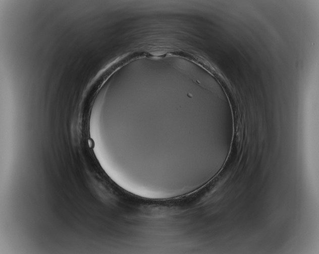 X0000086220722200704191738