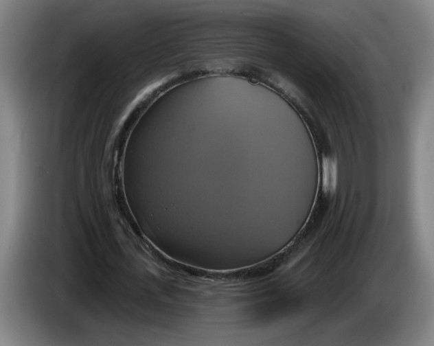 X0000086220723200704191738