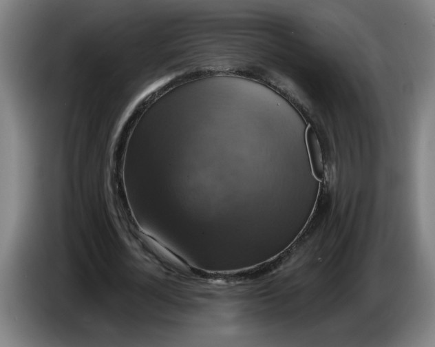 X0000086220724200704191738