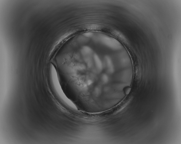 X0000086220725200704191738