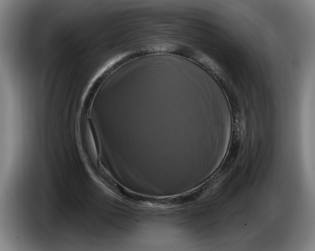 X0000086220726200704191738