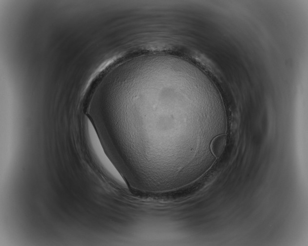 X0000086220727200704191738