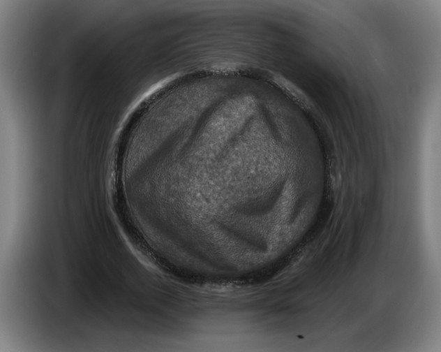 X0000086220728200704191738