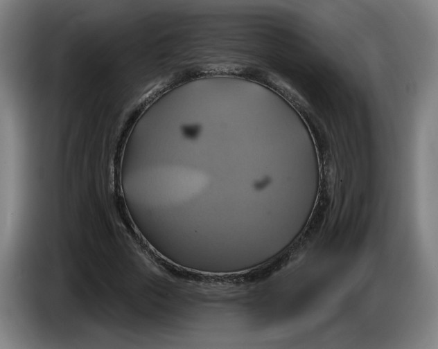 X0000086220729200704191738