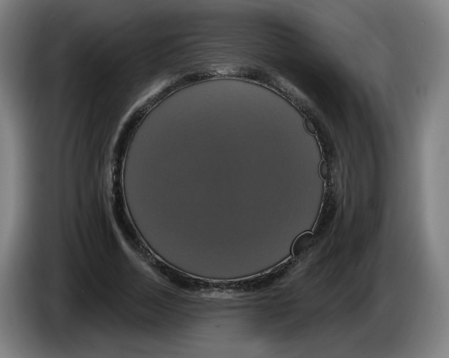 X0000086220730200704191738