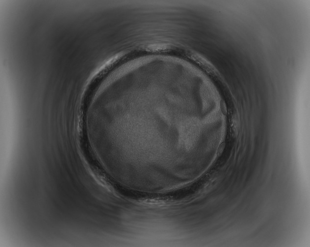 X0000086220732200704191738