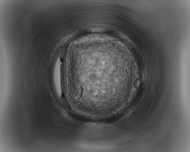 X0000086220733200704191738