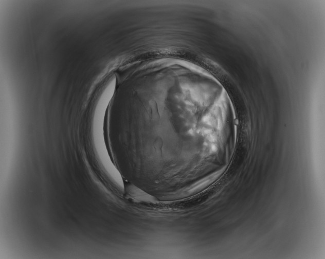 X0000086220734200704191738