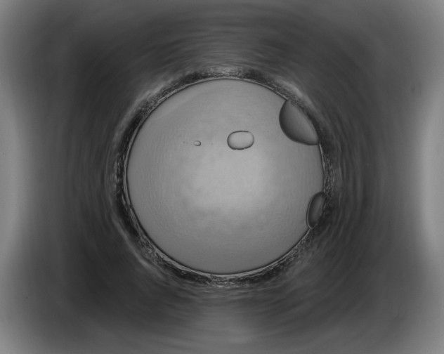 X0000086220736200704191738