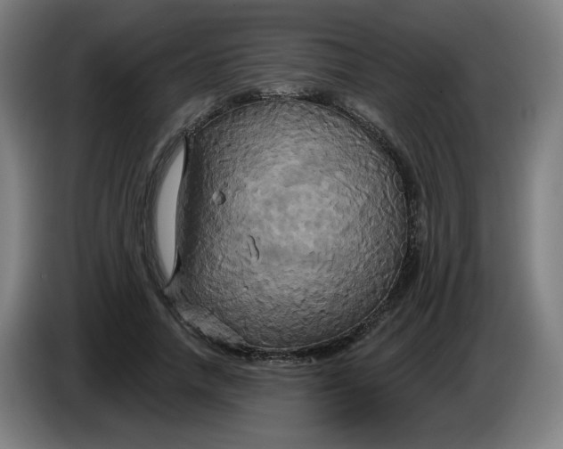 X0000086220738200704191738