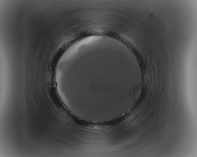 X0000086220739200704191738