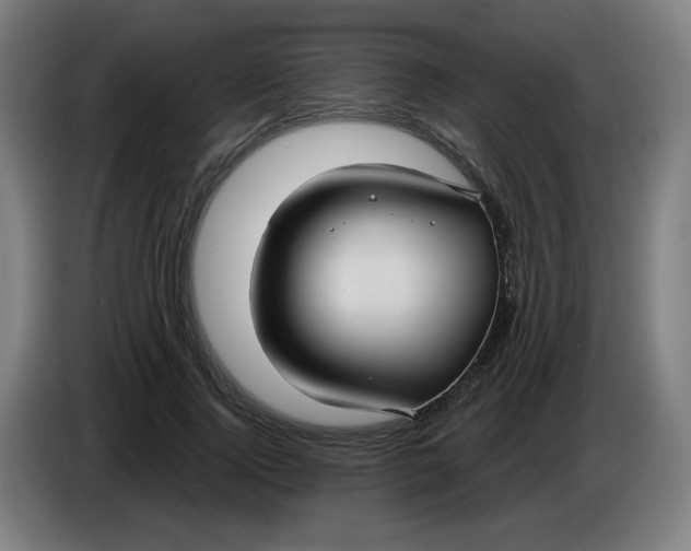 X0000086220740200704191738