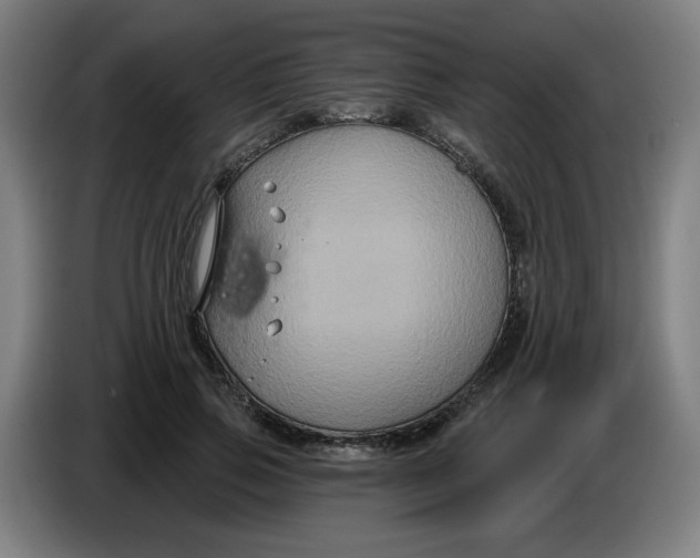 X0000086220741200704191738