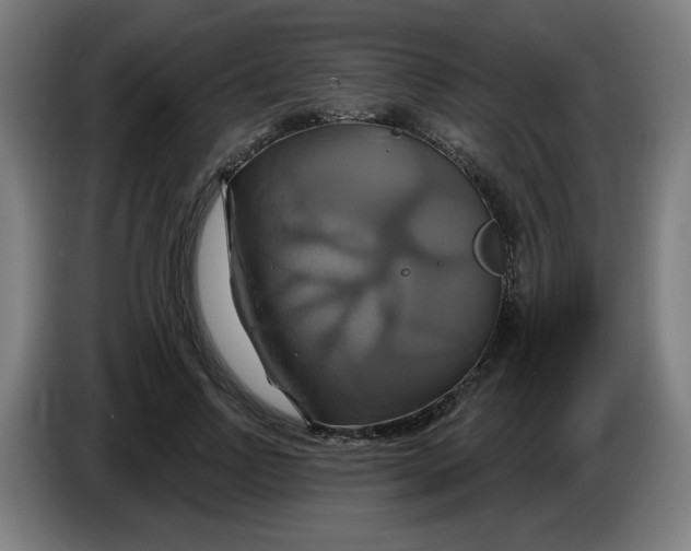 X0000086220742200704191738