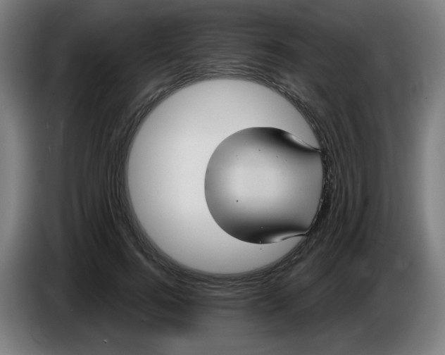 X0000086220744200704191738