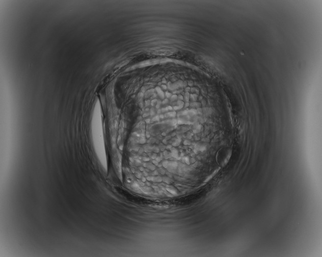 X0000086220745200704191738