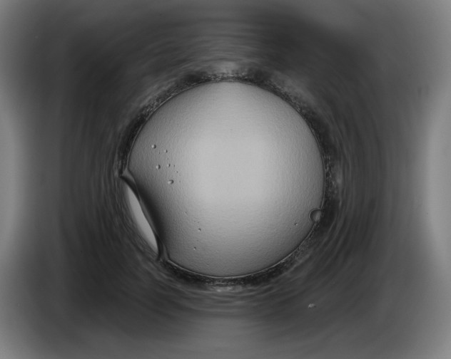 X0000086220746200704191738