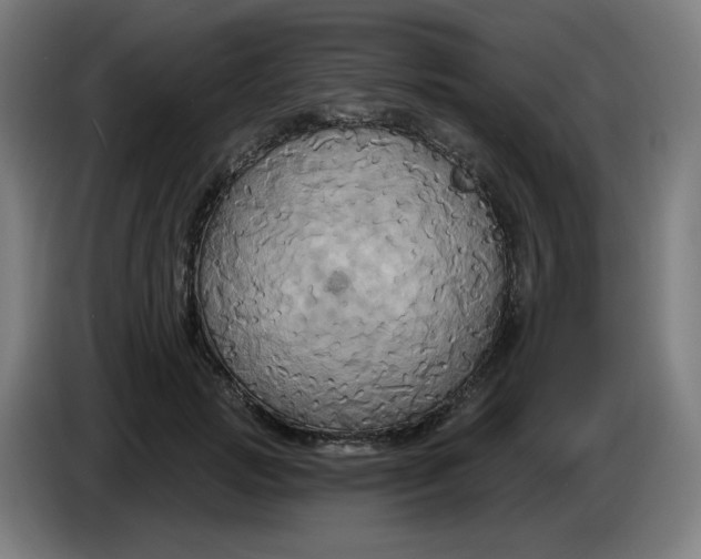 X0000086220749200704191738