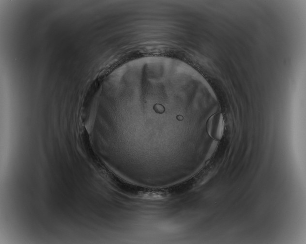 X0000086220751200704191738