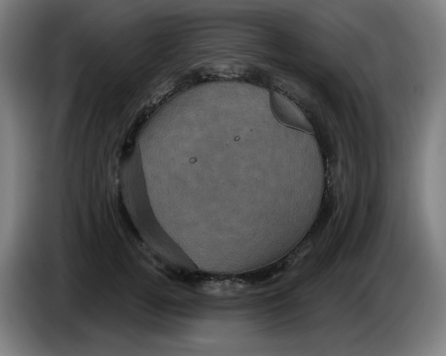 X0000086220752200704191738