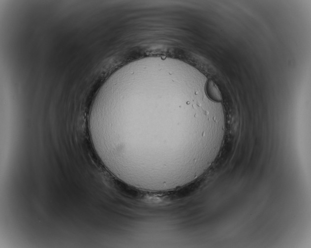 X0000086220753200704191738