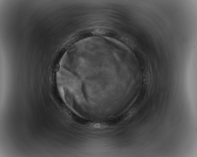 X0000086220755200704191738