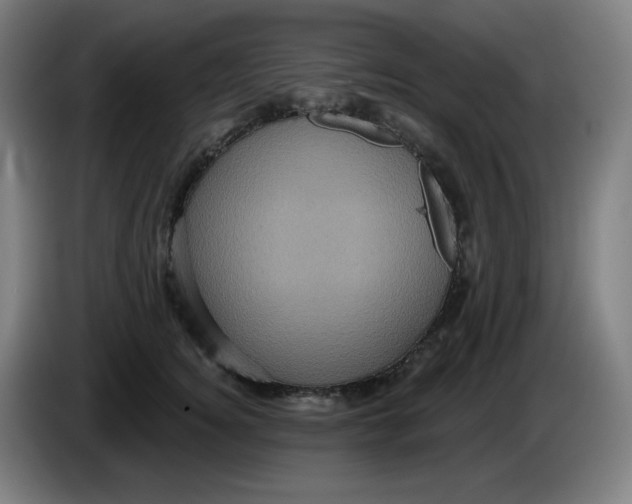 X0000086220756200704191738