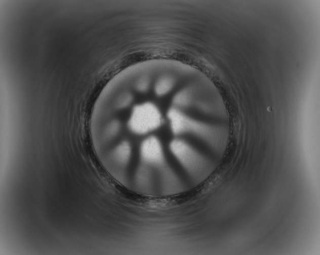 X0000086220757200704191738