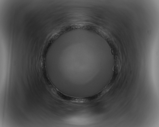 X0000086220758200704191738