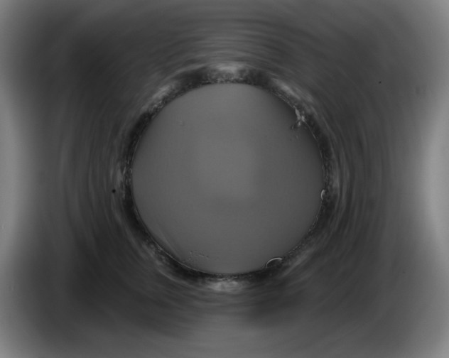 X0000086220759200704191738