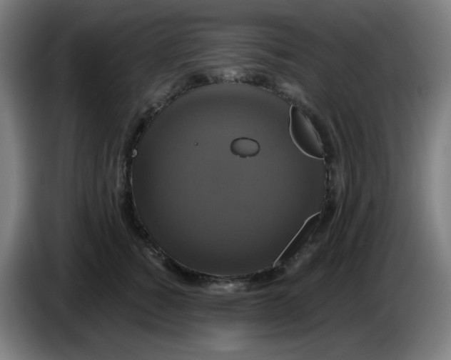 X0000086220760200704191738