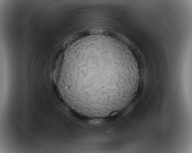 X0000086220761200704191738