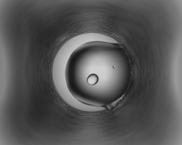 X0000086220762200704191738