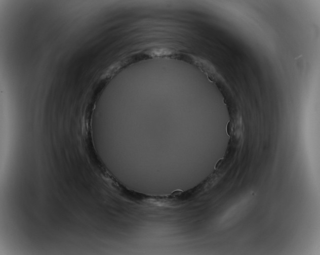 X0000086220763200704191738