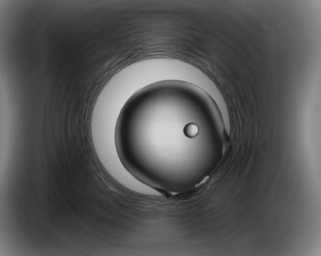 X0000086220764200704191738