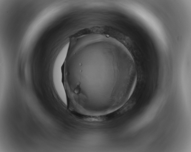 X0000086220765200704191738