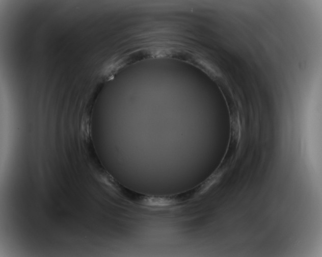 X0000086220766200704191738