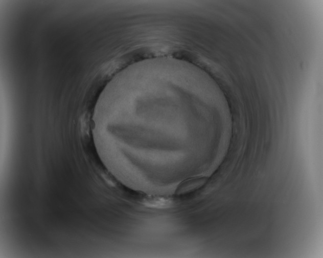 X0000086220768200704191738