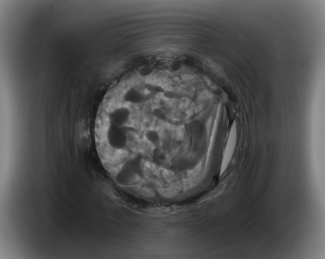 X0000086220771200704191738