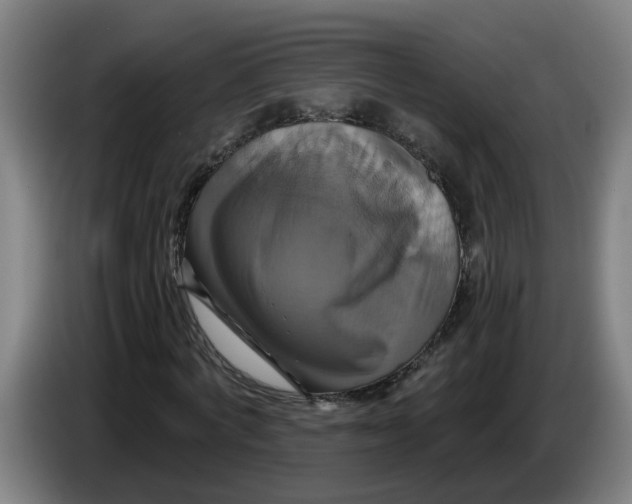 X0000086220772200704191737