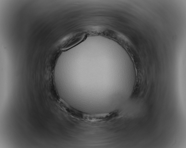 X0000086220773200704191737