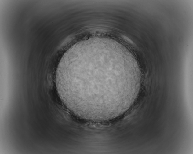 X0000086220774200704191737