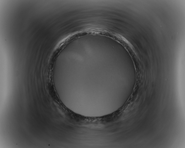 X0000086220775200704191737