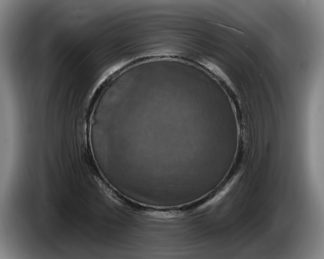 X0000086220781200704191737